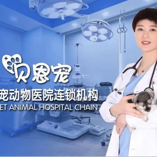 贝恩宠动物医院(东岭街佰墺店):长春市南关区南关区政府附近