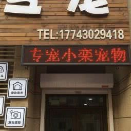 专宠:长春市南关区金宇大路附近