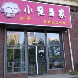 小宠当家宠物生活会馆:长春市南关区会展中心附近