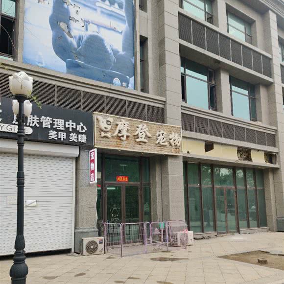 摩登宠物:长春市南关区会展中心附近