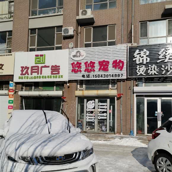 悠悠宠物:长春市宽城区雁鸣湖/柳影路附近