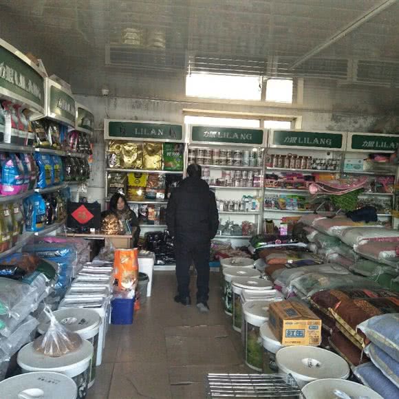 长春力狼宠物食品办事处:长春市宽城区雁鸣湖/柳影路附近