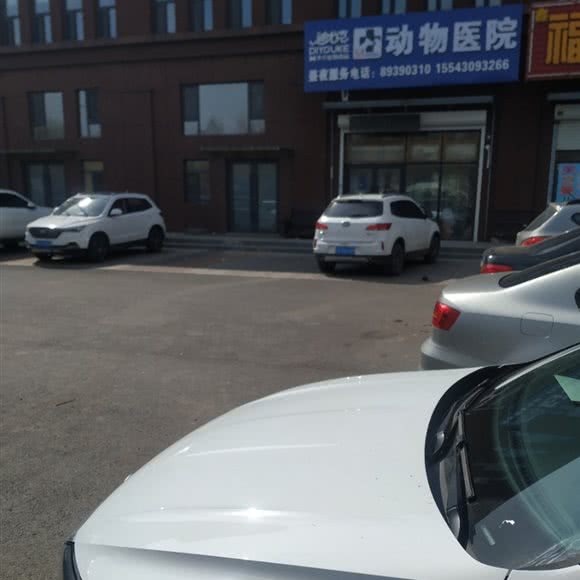 迪尤克动物医院:长春市宽城区雁鸣湖/柳影路附近