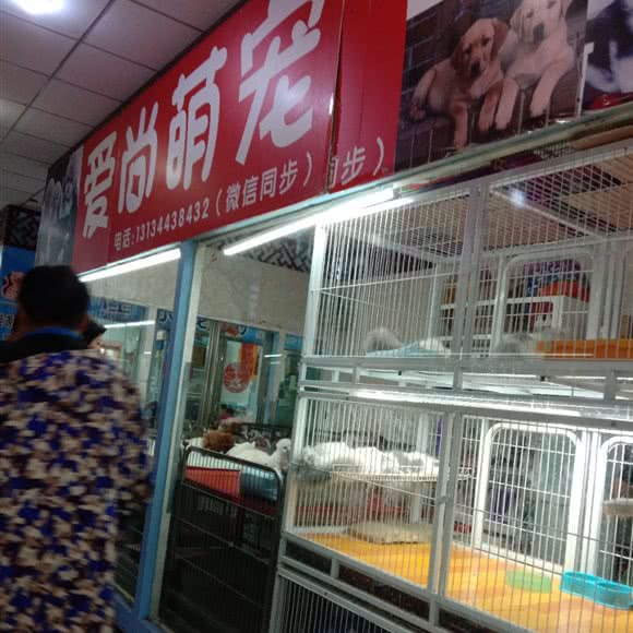 爱尚萌宠:长春市宽城区火车站附近