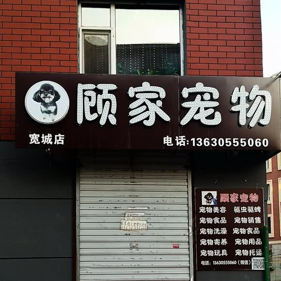 顾家宠物狗:长春市宽城区凯旋路附近