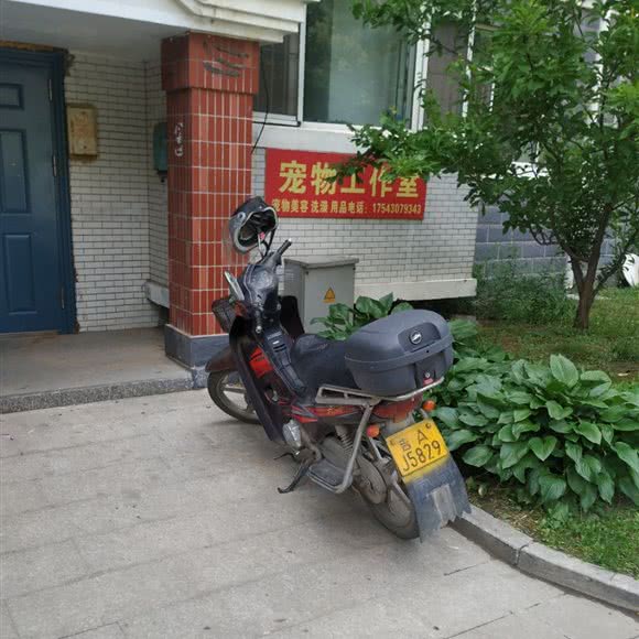 宠物工作室:长春市宽城区一匡街附近