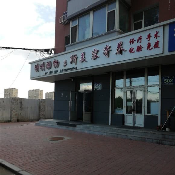 明明动物诊所美容寄养:长春市宽城区一匡街附近