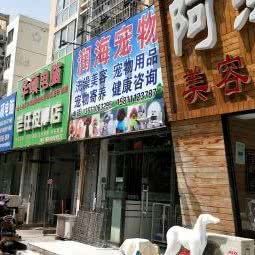 润海宠物:北京城区丰台区西红门附近