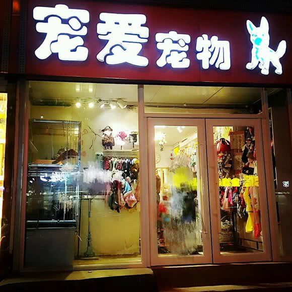 宠爱宠物:长春市朝阳区桂林路附近