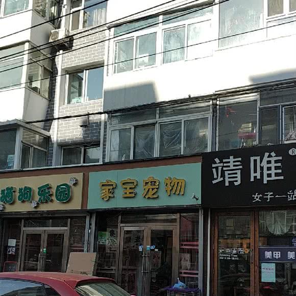 家宝宠物店:长春市朝阳区桂林路附近