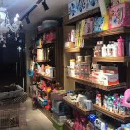 可爱居民私宠会所:长春市朝阳区桂林路附近