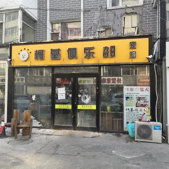 柯基俱乐部:长春市朝阳区桂林路附近