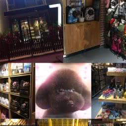 娇生惯养宠物生活馆:长春市朝阳区硅谷大街附近