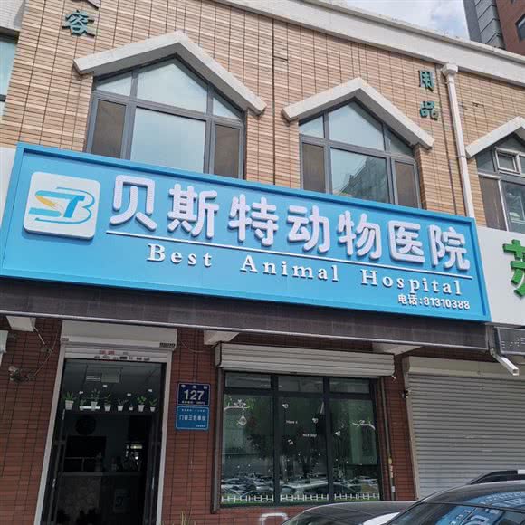 贝斯特动物医院:长春市朝阳区硅谷大街附近