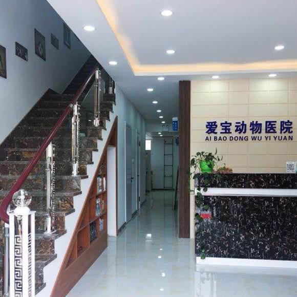 爱宝动物医院:长春市朝阳区硅谷大街附近