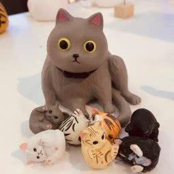 梦梦爱咪名猫馆(万达广场店):长春市朝阳区红旗街附近