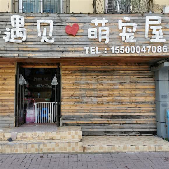遇见萌宠屋:长春市朝阳区红旗街附近