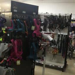 奕嘉宠物用品:长春市朝阳区红旗街附近