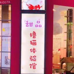 小丁猫(欧亚新生活店):长春市朝阳区南湖公园附近