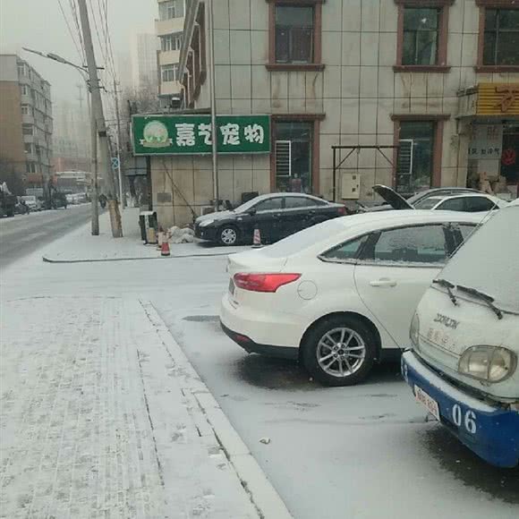 嘉艺宠物生活馆:长春市朝阳区南湖公园附近