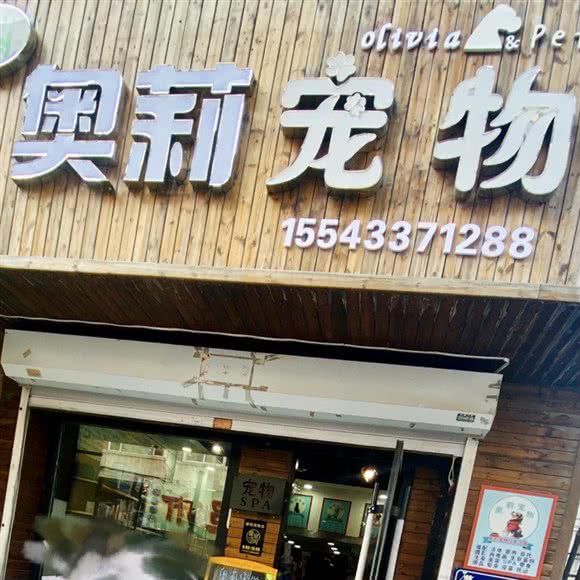 奥莉宠物:长春市朝阳区建设街附近