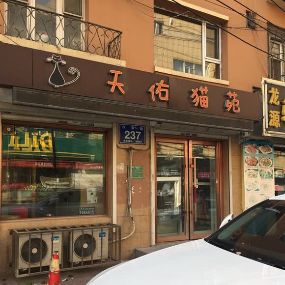 天佑猫苑:长春市朝阳区建设街附近