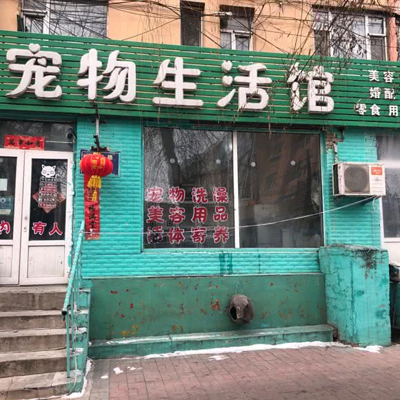 funny家宠物生活馆:长春市朝阳区辉南街附近