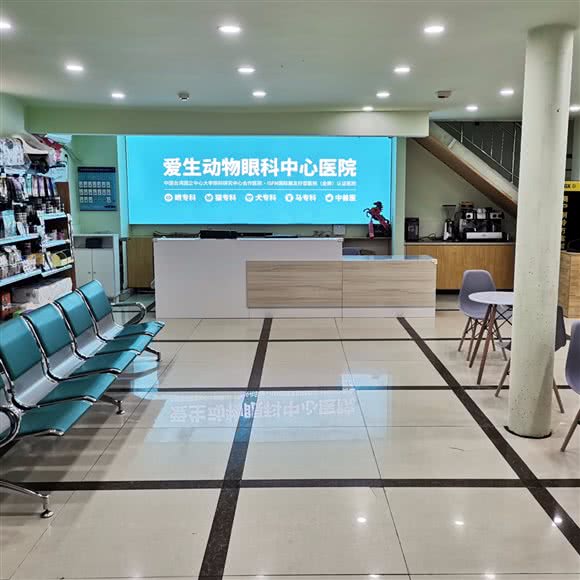 长春爱生动物眼科中心医院:长春市朝阳区湖西路附近