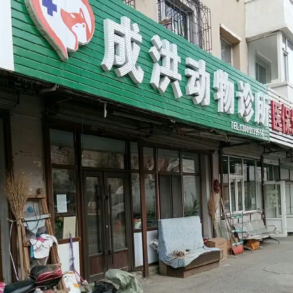 成洪宠物诊所:长春市朝阳区力旺广场附近