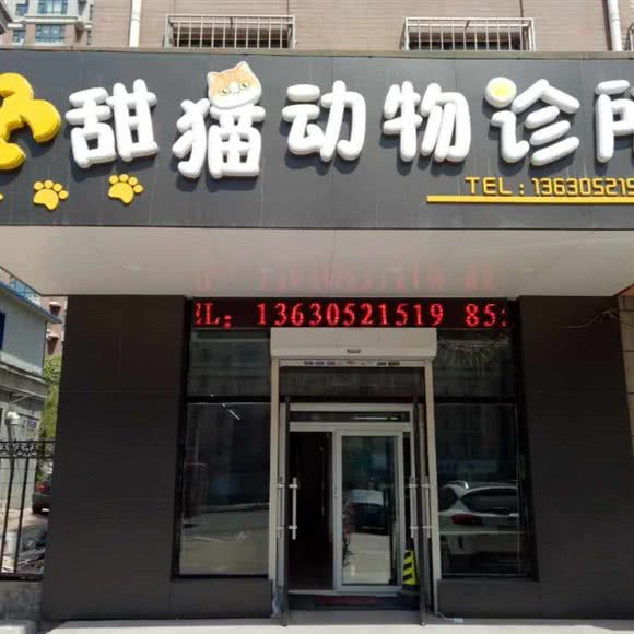 甜猫动物诊所(甜猫动物诊所（猫专科）):长春市朝阳区力旺广场附近