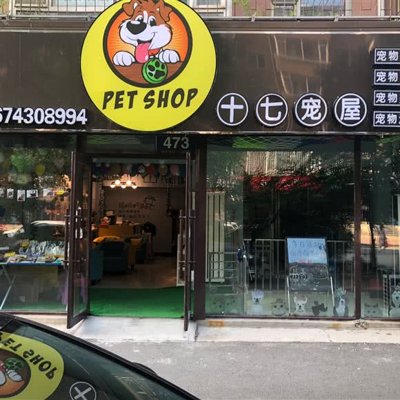 十七宠屋:长春市二道区东盛/劳动公园附近