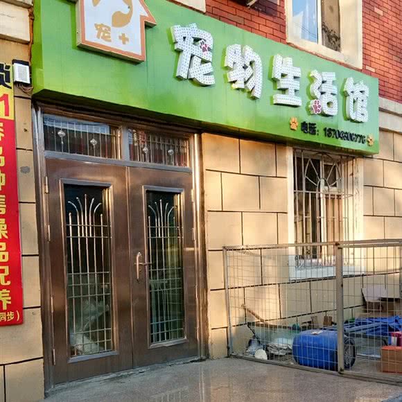 宠+宠物生活馆:长春市二道区东盛/劳动公园附近