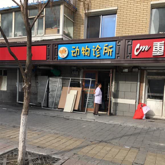 天祥动物诊所:长春市二道区东盛/劳动公园附近