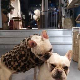 伴物社:长春市二道区东方广场/光华学院附近