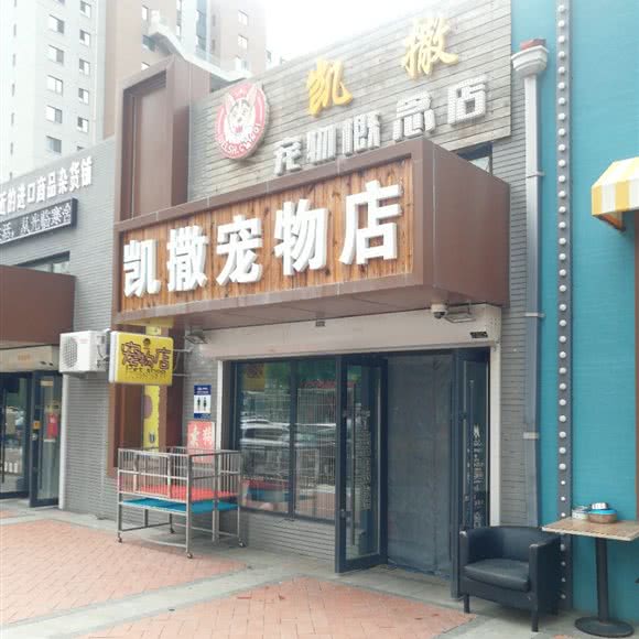 凯撒宠物店:长春市二道区八里堡附近