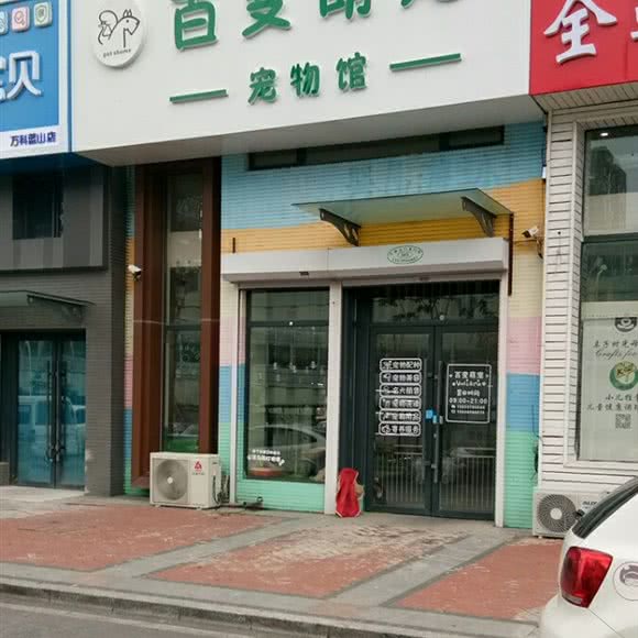 百变萌宠:长春市二道区八里堡附近