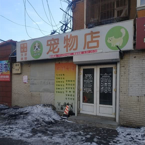 旺旺宠物店:长春市二道区八里堡附近