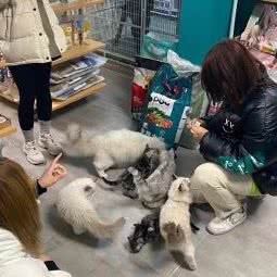 一家宠物诊疗中心:北京城区丰台区西红门附近