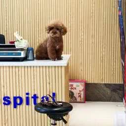 博益动物医院:长春市二道区八里堡附近