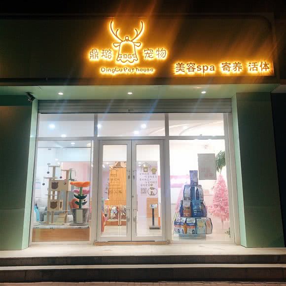 鼎璐宠物(华翰四季店):长春市绿园区长春公园/新竹附近