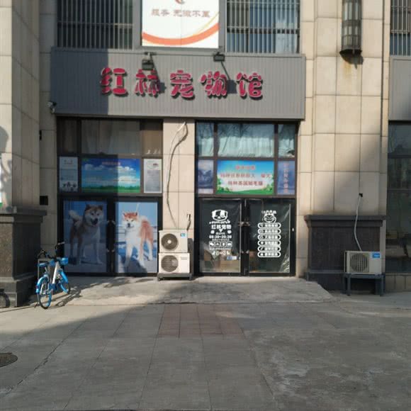 红林宠物馆:长春市绿园区长春公园/新竹附近