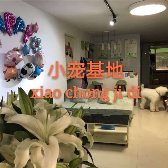 小宠基地:长春市绿园区长春公园/新竹附近