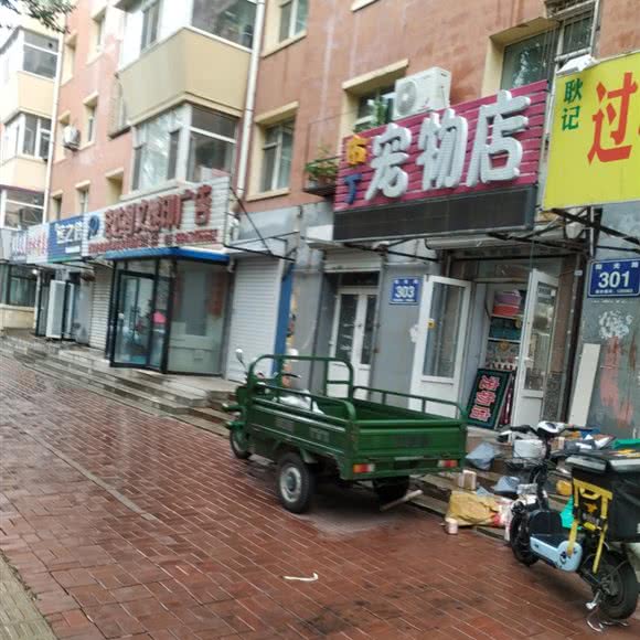 布丁宠物店:长春市绿园区长春公园/新竹附近