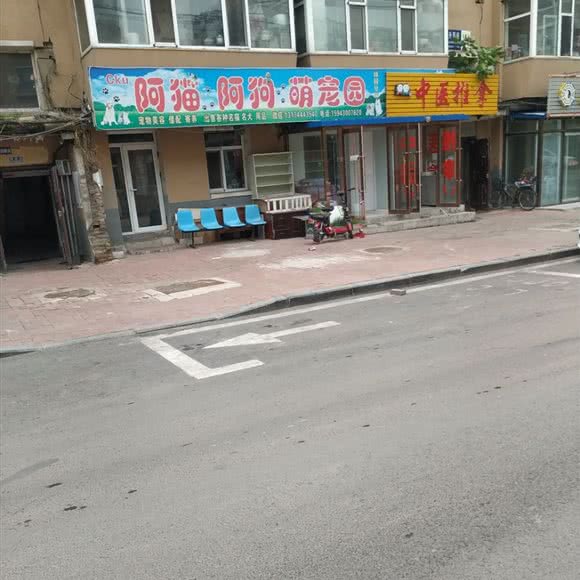 阿猫阿狗萌宠园:长春市绿园区长春公园/新竹附近