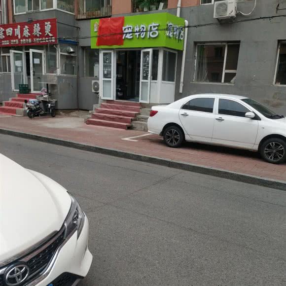 崐咪宠物店:长春市绿园区长春公园/新竹附近