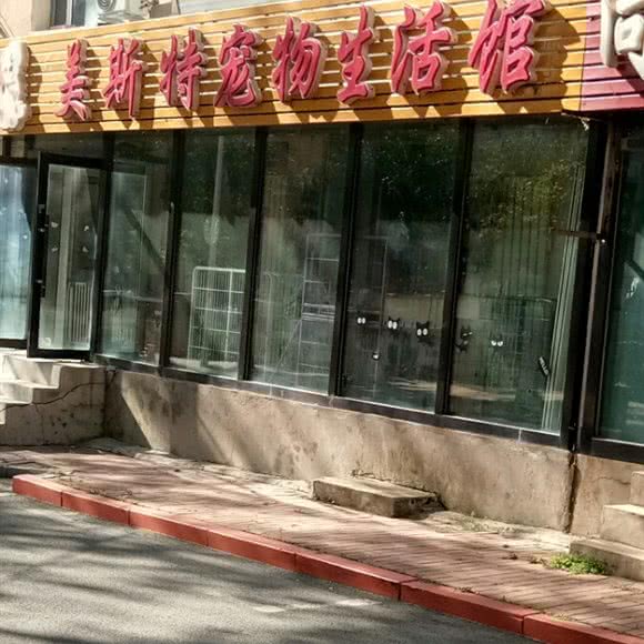 绿园区美斯特宠物生活馆:长春市绿园区长春公园/新竹附近