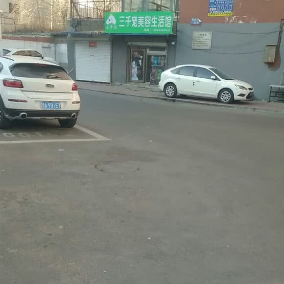 三千宠美容生活馆:长春市绿园区长春公园/新竹附近