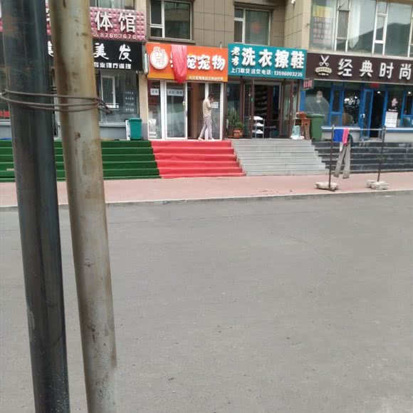 界宠宠物:长春市绿园区长春公园/新竹附近