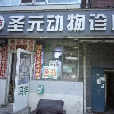 圣元动物诊所:长春市绿园区长春公园/新竹附近