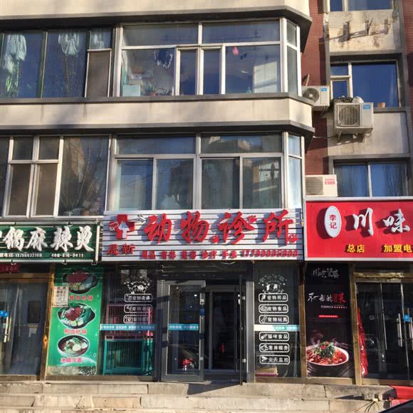 晟新动物诊所:长春市绿园区长春公园/新竹附近